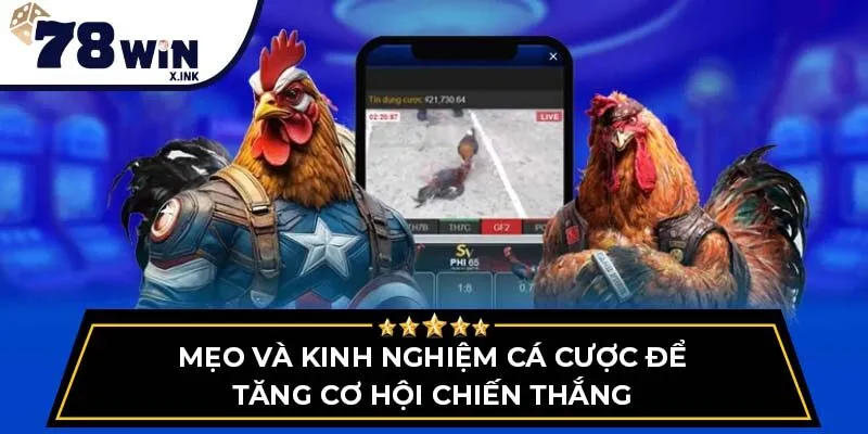 Mẹo và kinh nghiệm cá cược để tăng cơ hội chiến thắng