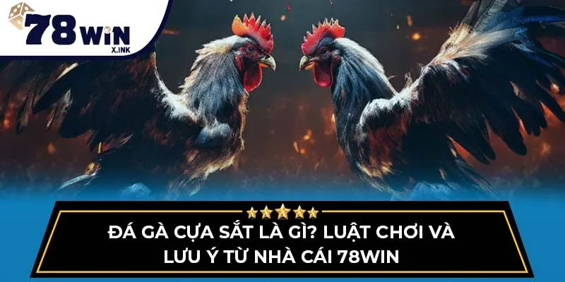 đá gà cựa sắt