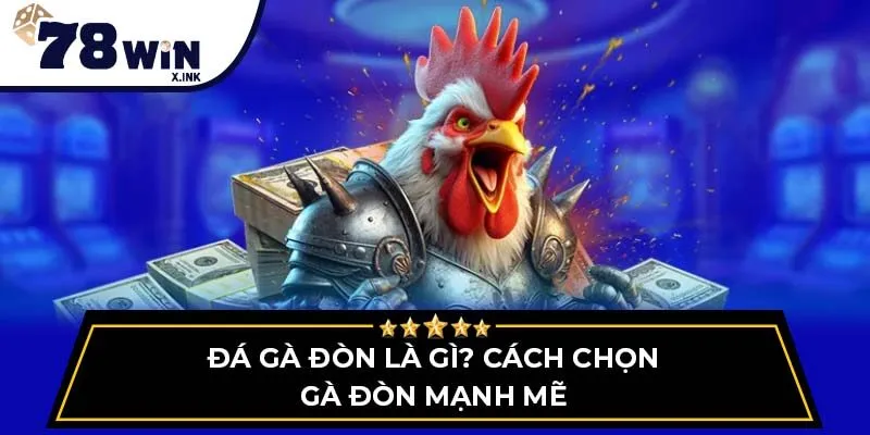 Đá gà đòn là gì? Cách chọn gà đòn mạnh mẽ