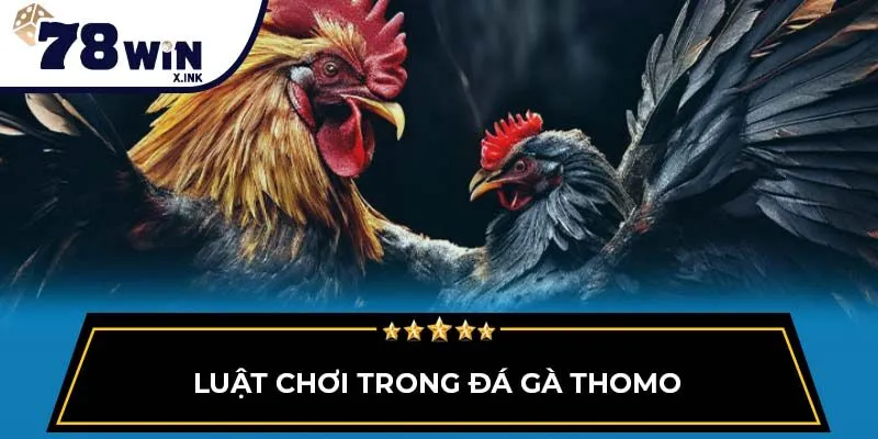 Luật chơi trong đá gà Thomo
