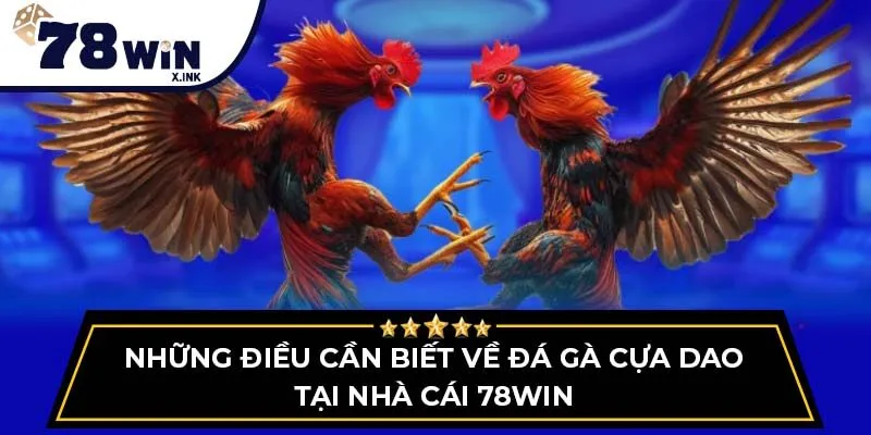 đá gà cựa dao